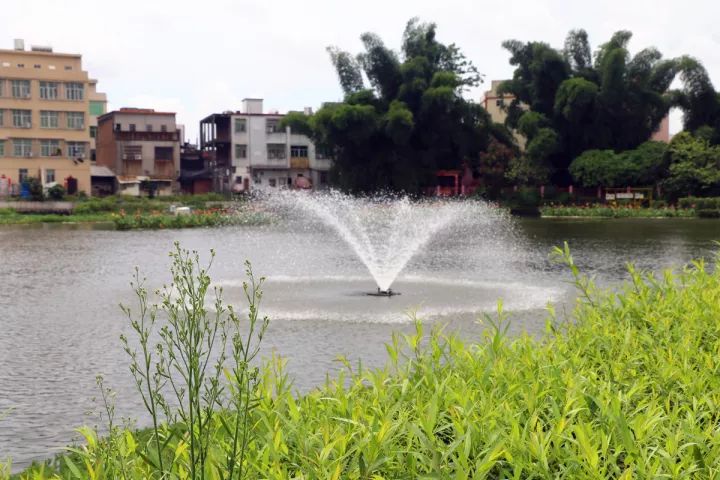 河水清澈白鹭低回潮南峡山大溪整治效果显著