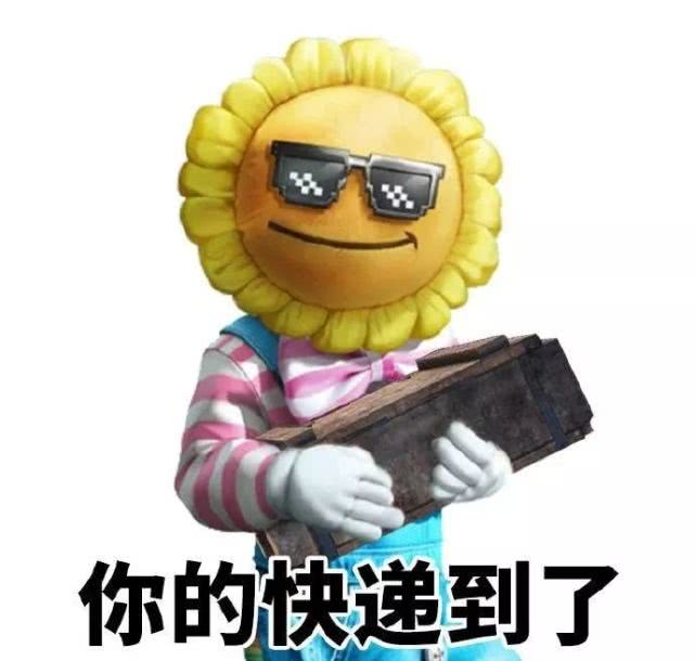 向日葵小班套装还是快乐主宰比较合口味这个撬棍有点秀