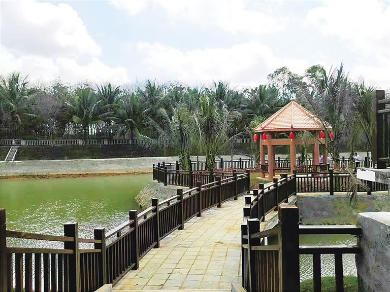 澄迈县大丰镇才存村.