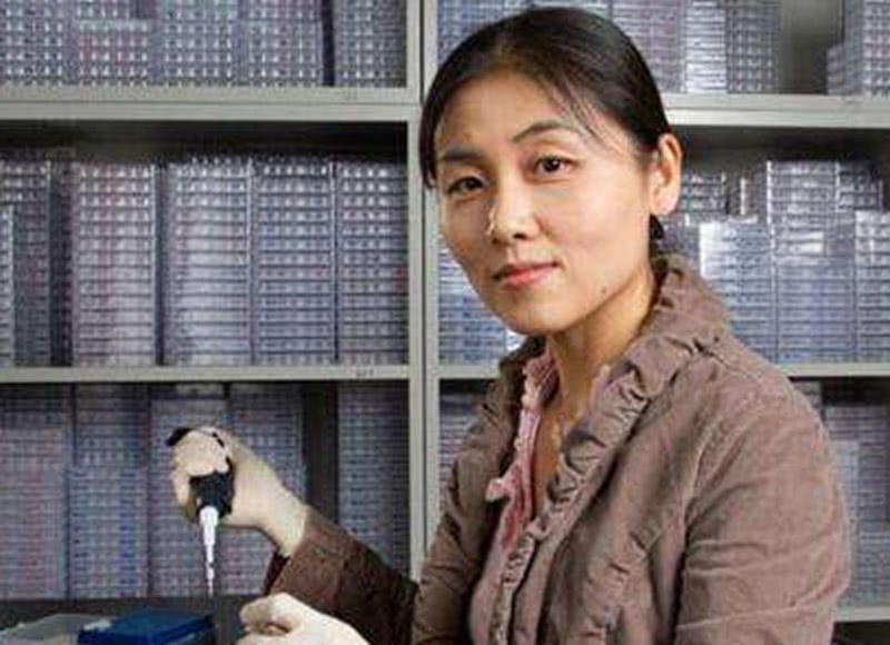 原创             她是清华大学的高颜值教授