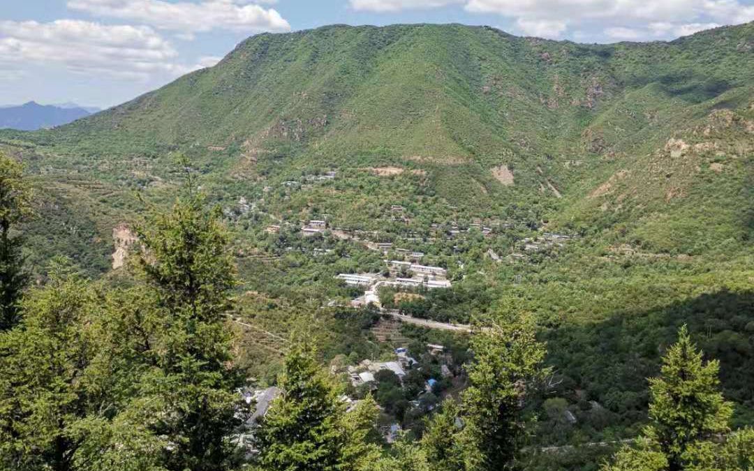 房山东村靠环境挣钱向林子要钱