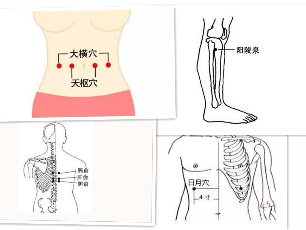 人体胰俞位置图片