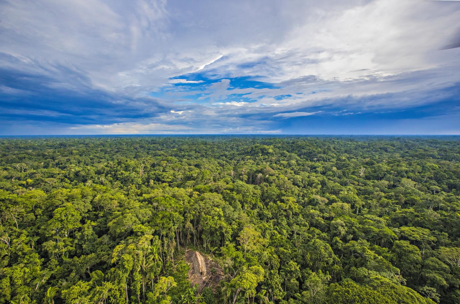 亚马逊热带雨林是世界最大的森林,居住在玻利维亚丛林里的提斯曼人,是