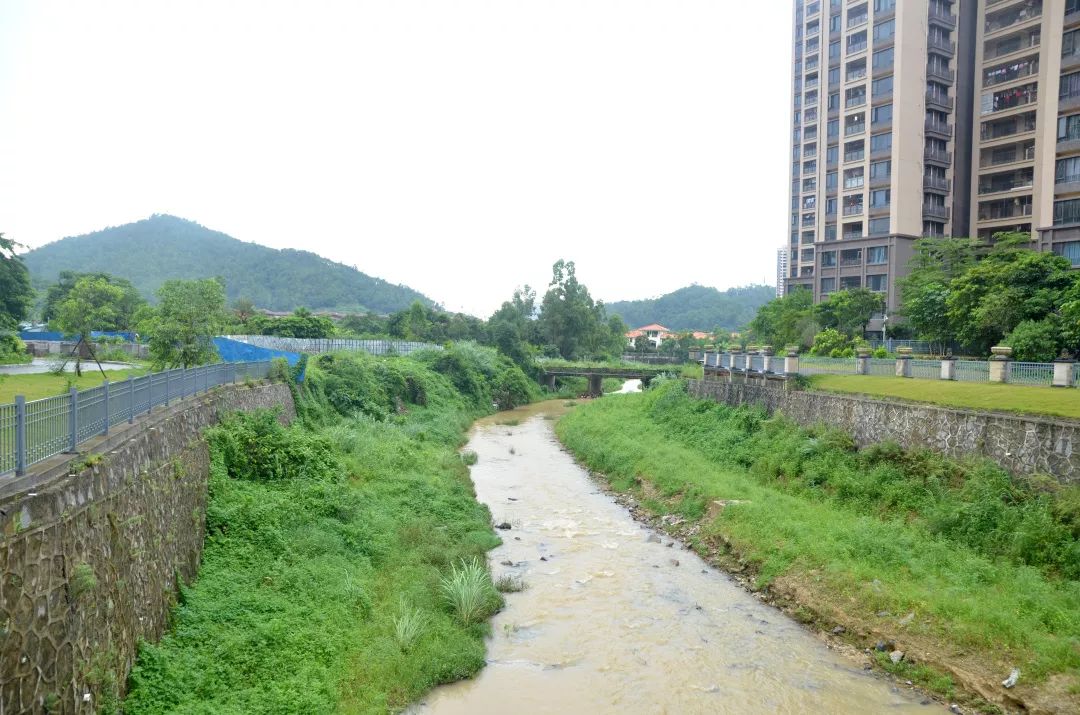 惠东这个村要飞了