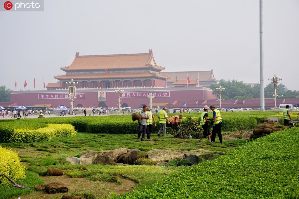 北京绿化施工
