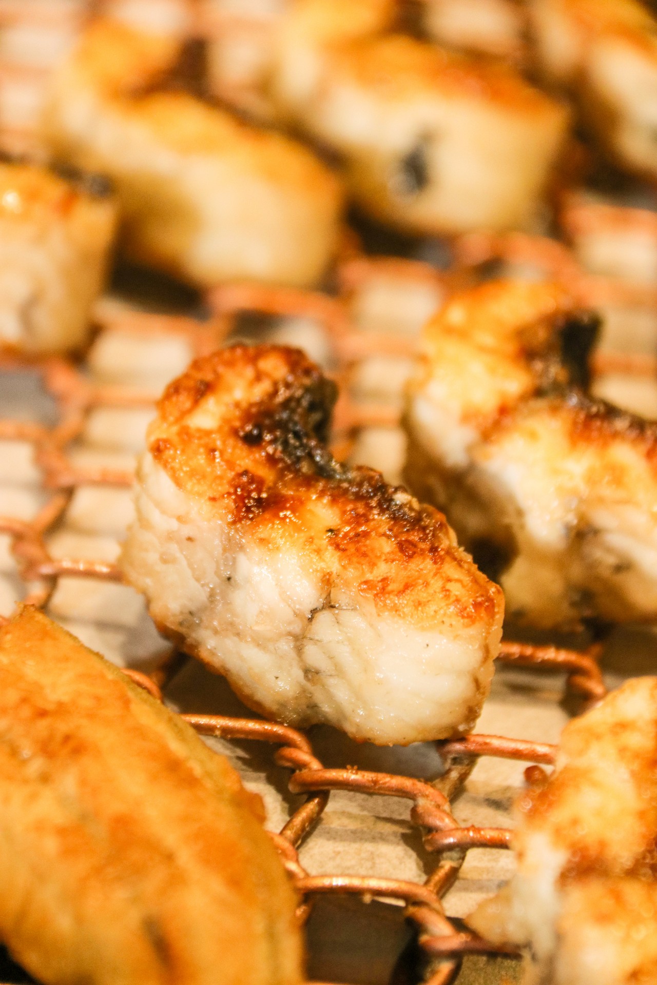 爆款炭烤活鳗鱼又来圈粉了口口相传回头率100