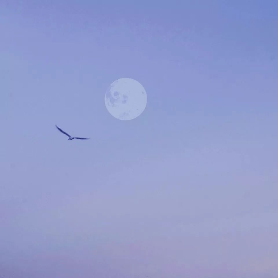 朋友圈背景图好看有格调的封面图