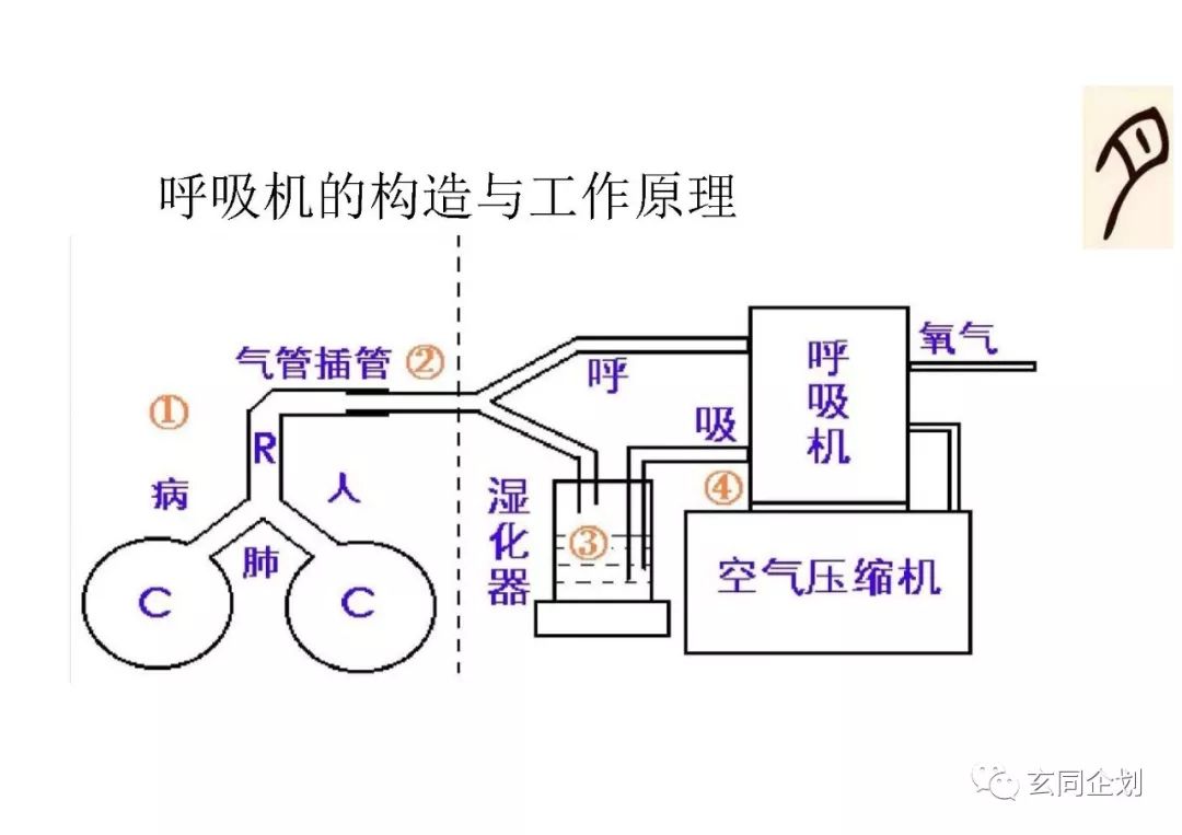 月旦评系列——江波大神细说呼吸_之江