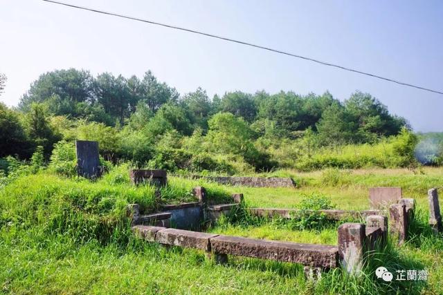 戴震墓全景在我的心目中,戴震是清学史上极其高大的人物,我本以为来此