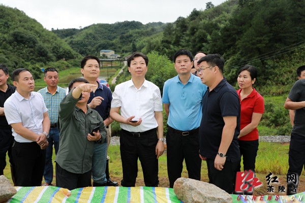 7月13日,株洲市委书记,市人大常委会主任毛腾飞深入茶陵县火田镇,严塘