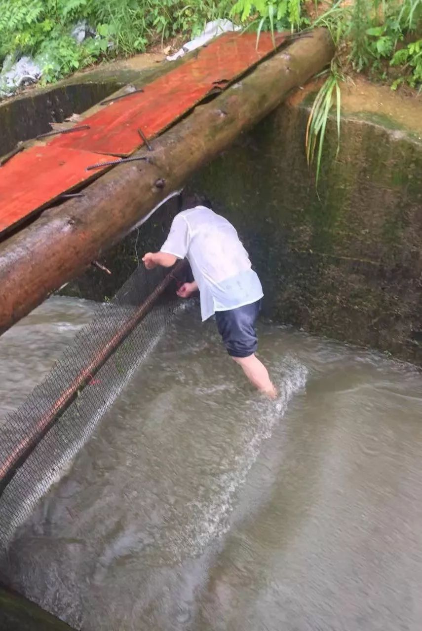 德兴各地713防汛纪实