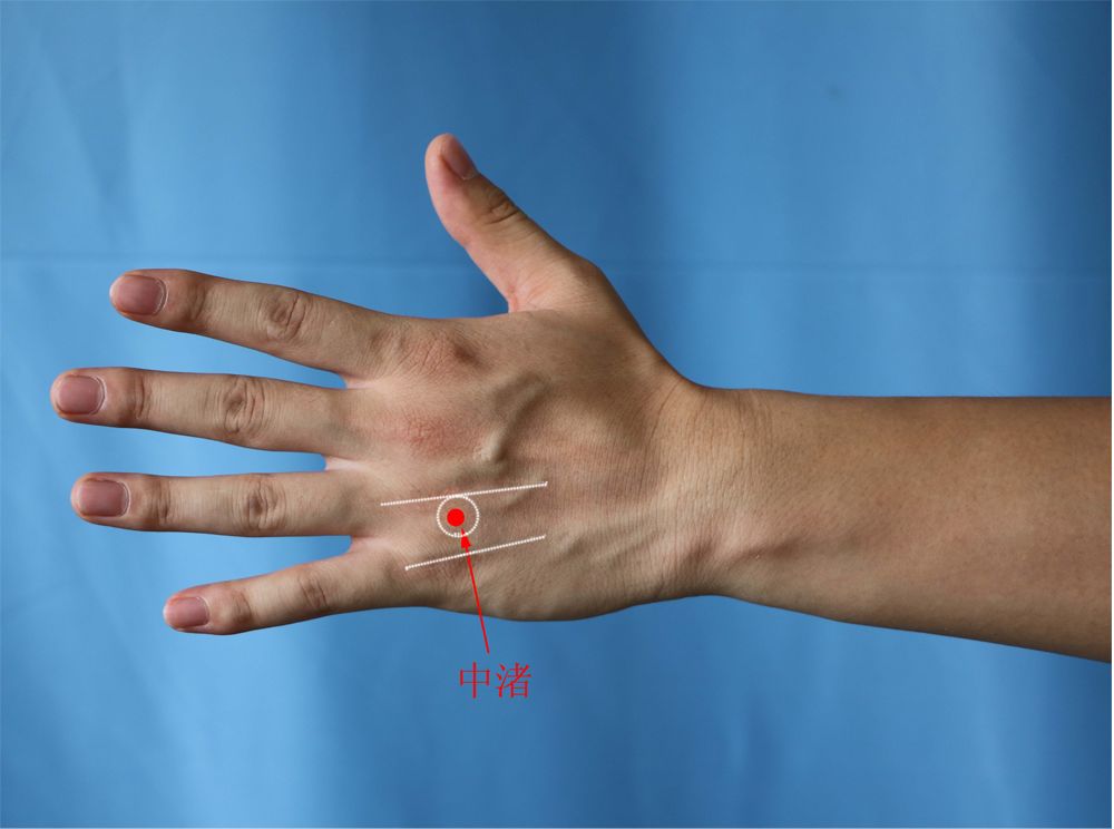 经络篇手少阳三焦经