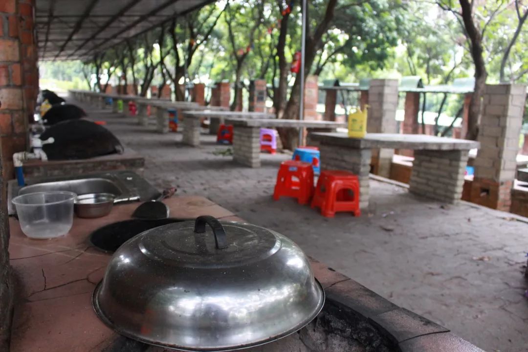 番禺喜出望外生态乐园泼水狂欢节摘龙眼80元游乐金2大2小98元野炊套餐