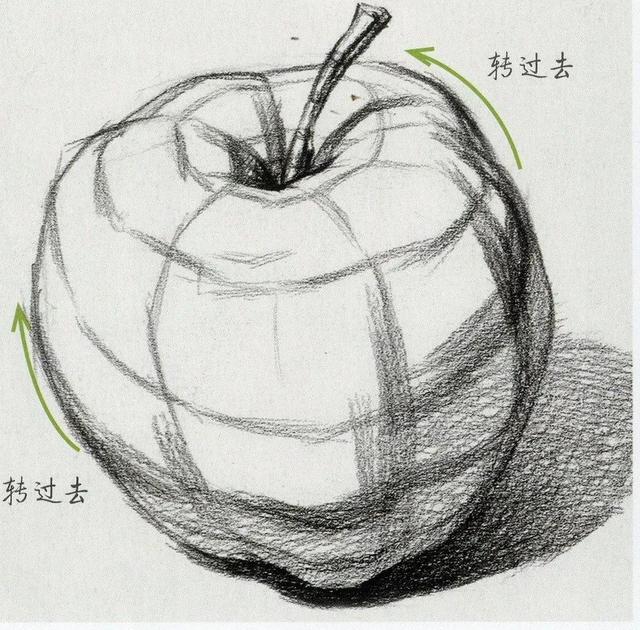 分块面素描水果之苹果和梨