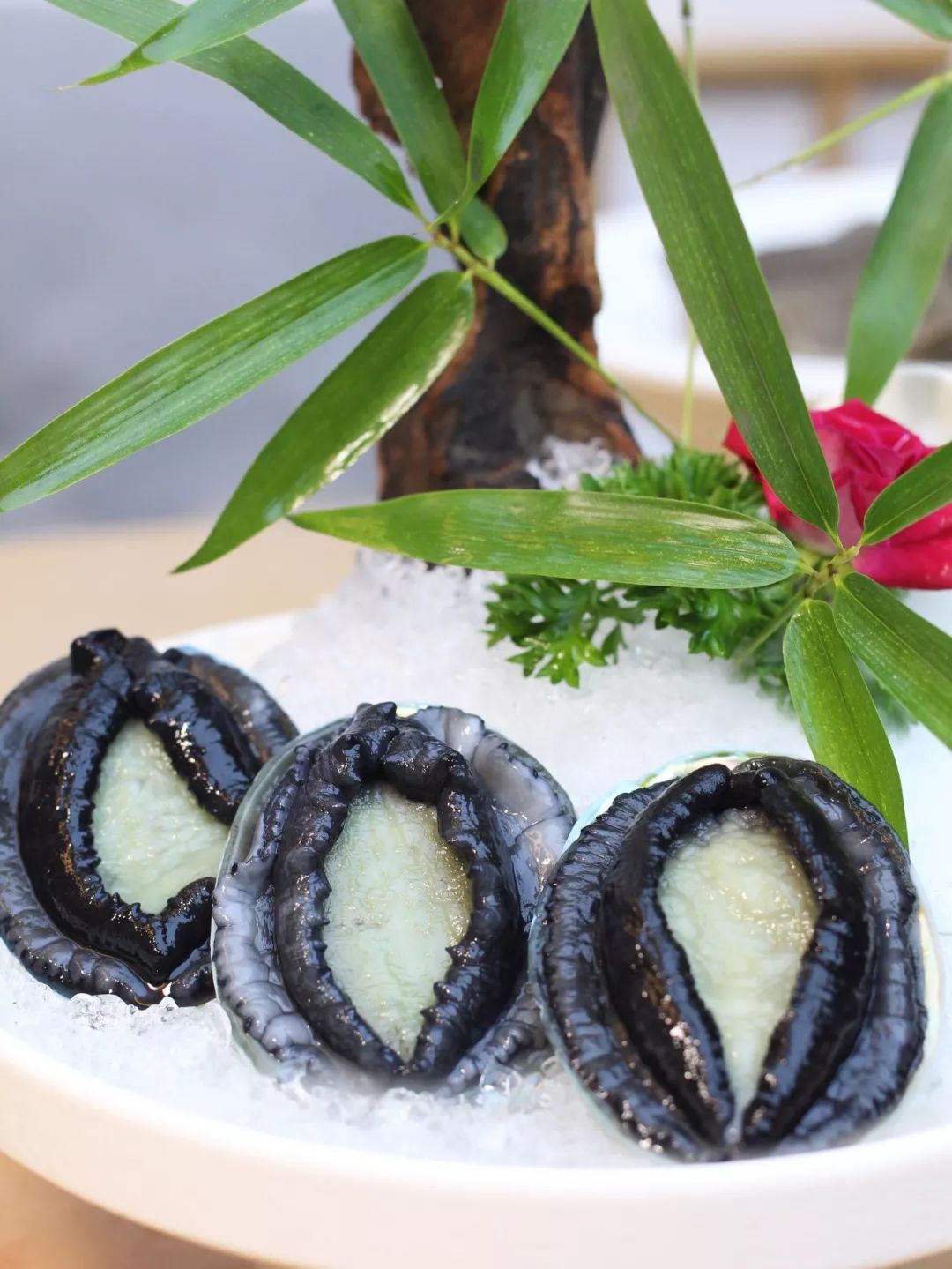 新西兰进口蓝鲍鱼