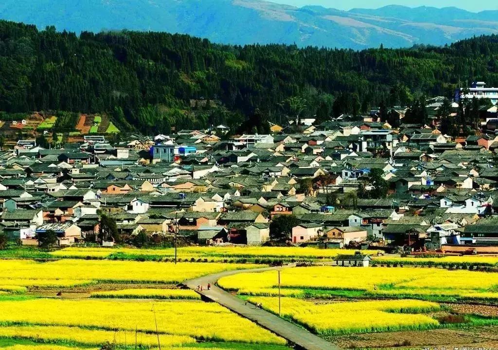 滇西之旅腾冲印象之三高黎贡山的手工造纸