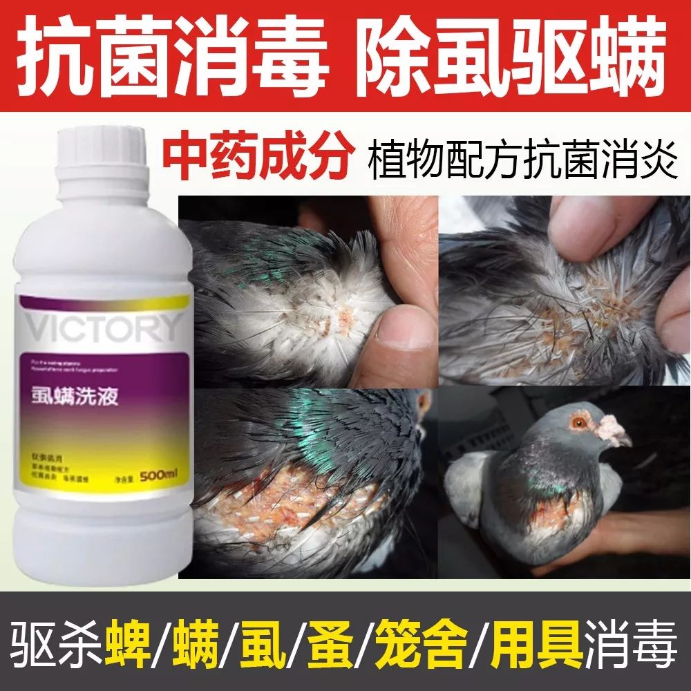 鸽子最喜欢这个了,夏天鸽子洗澡就用他,好用不贵还除螨虫!