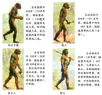 原始时代人类的起源