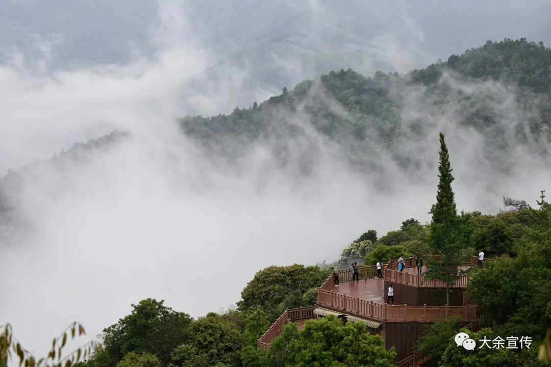 大余这个景区任你游!_旅游