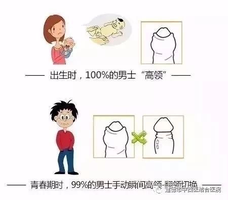 "高领"直接变"翻领"!