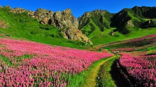 游走锦绣都兰探秘九层妖塔徒步挑战赛报名了