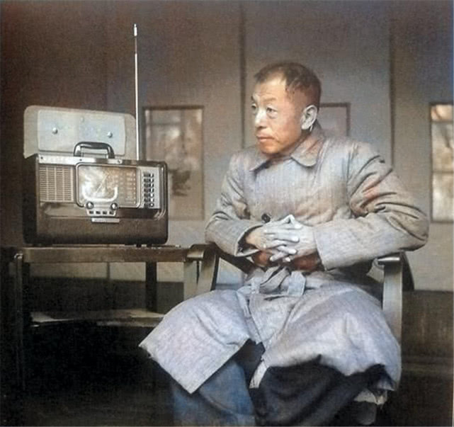 原创上色老照片镜头下被幽禁的张学良人生定格在了三十六岁