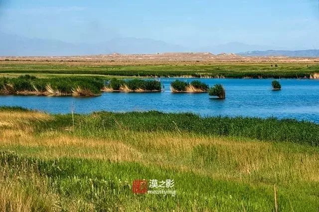 花城湖位于酒泉市区东北方向23公里处,素有"第二个月牙泉"之称.