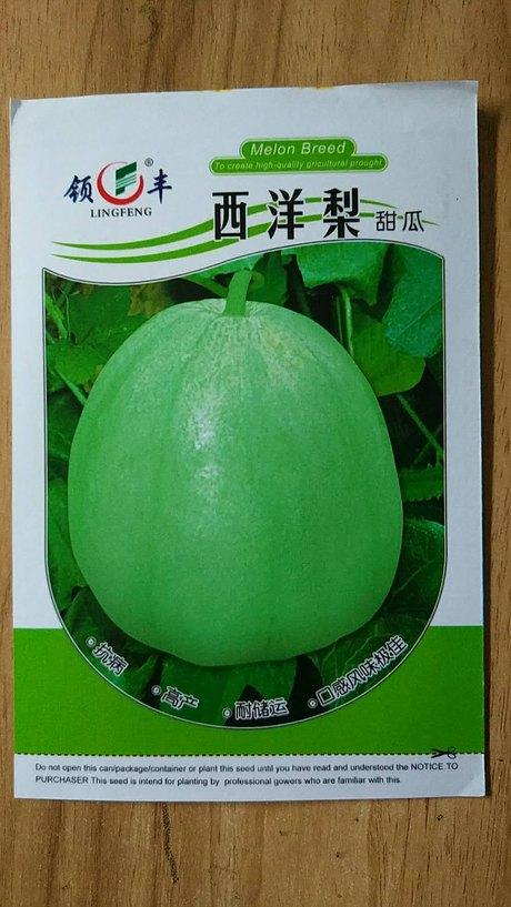 西洋梨甜瓜种子薄皮高糖甜瓜品种