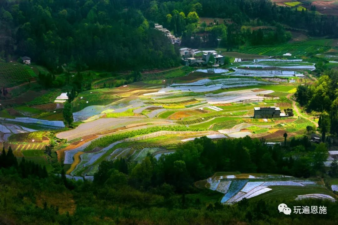 利川避暑怎么耍 十大徒步旅游线路任你选