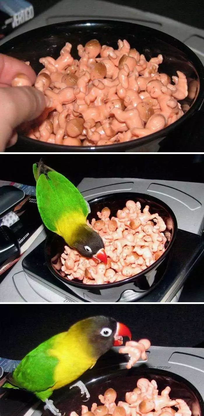 二手商店才能找到的最奇葩物品