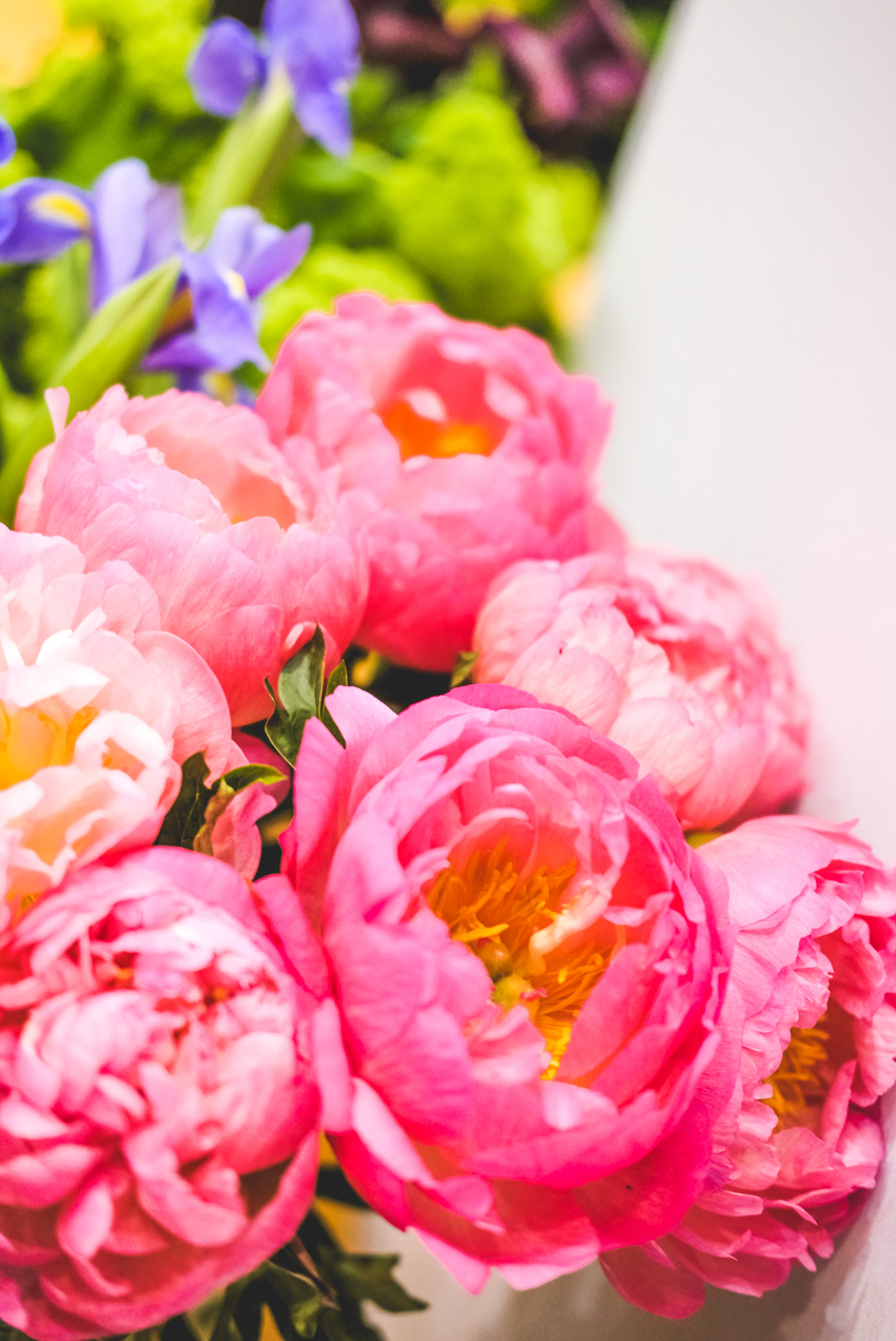 6个小趋势,揭秘2019零交会全部真相!_鲜花