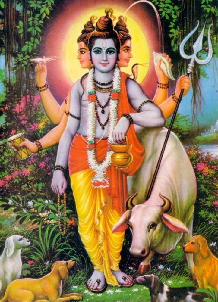 狗在印度神话和现实里都是一种不可思议的存在