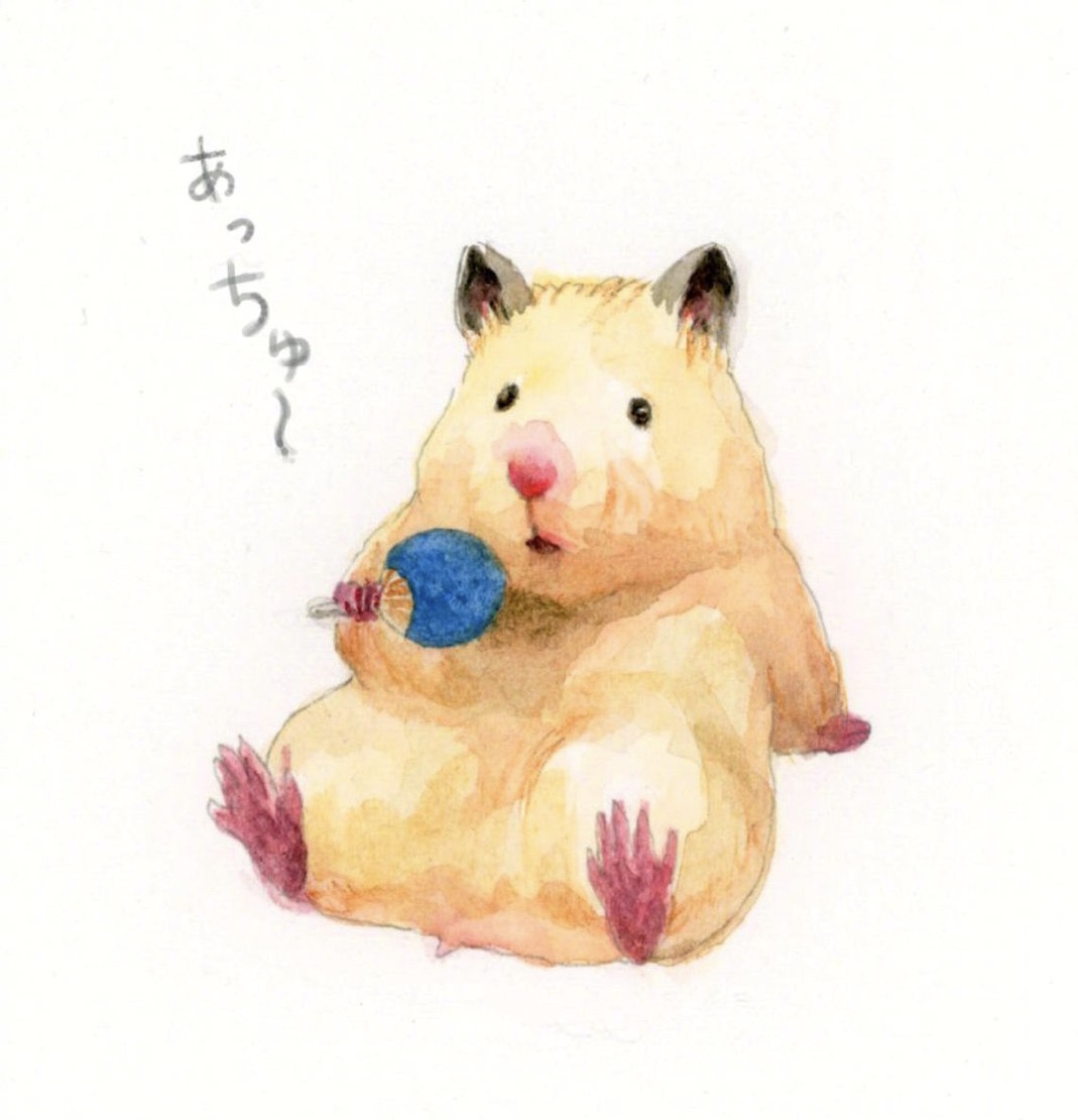 日本插画师"gotte" 笔下的金丝熊的日常