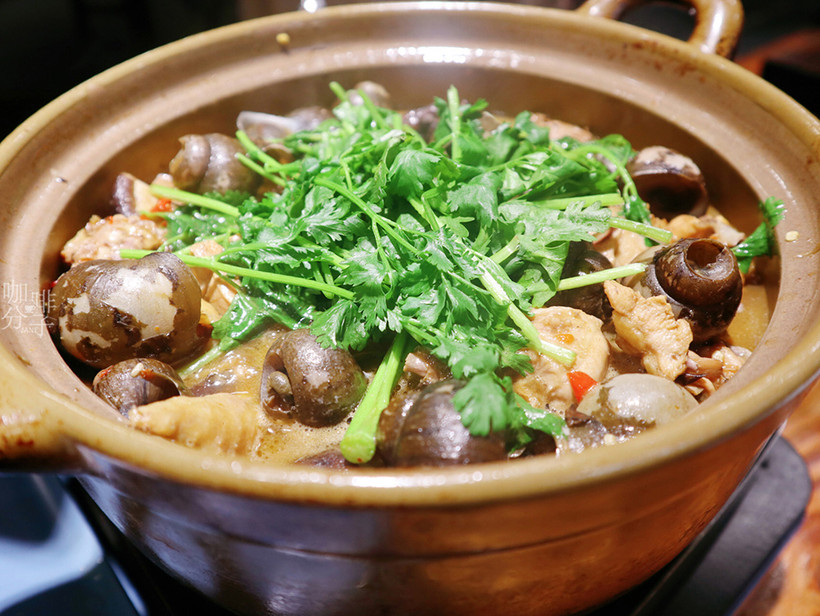 专注田螺三十年的店田螺鸡煲鲜香美味好吃到哭91