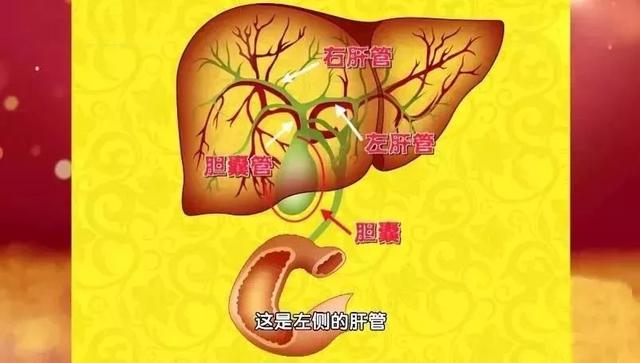 身體4個部位最怕