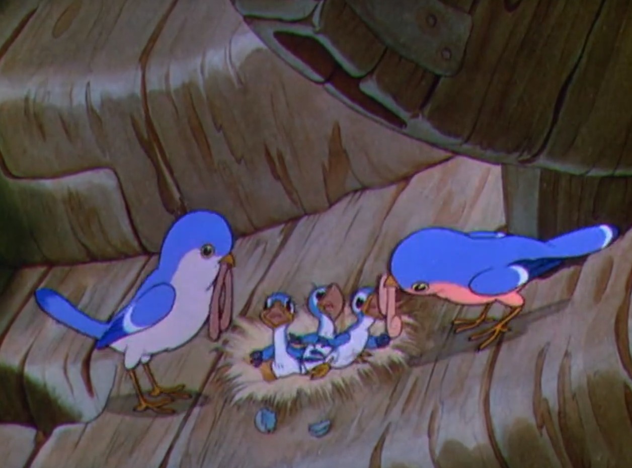 这个故事作为短片所要表达的含义稍显单薄,作为长片的一段还是不错的