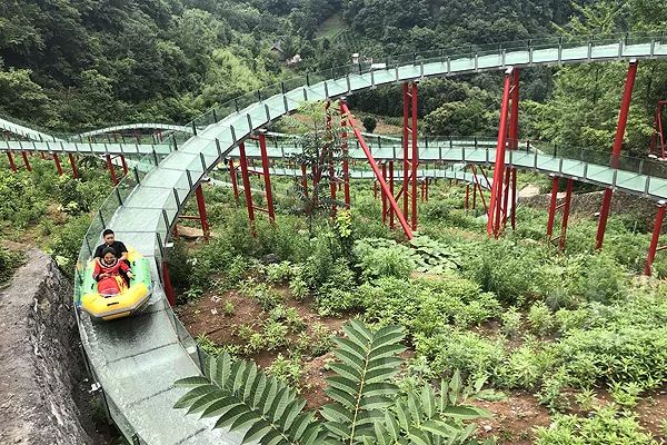 五,巴王水寨景区项目四,抹茶加工项目(网络资料图)三,白叶茶加工项目