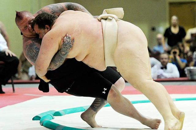 是相扑的魅力?还是别的原因