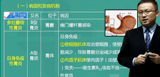 基础班消化系统慢性胃炎讲解到.【解析】慢性萎缩性胃炎分a,b型.