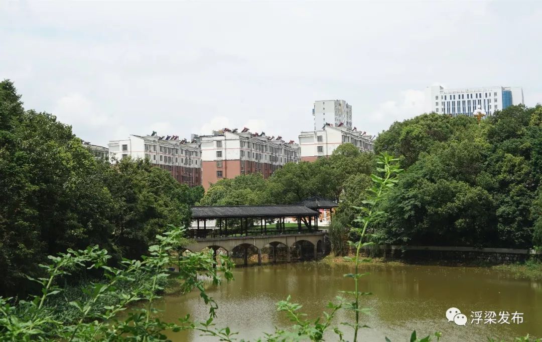 天宝公园寄情山水处诗情画意中