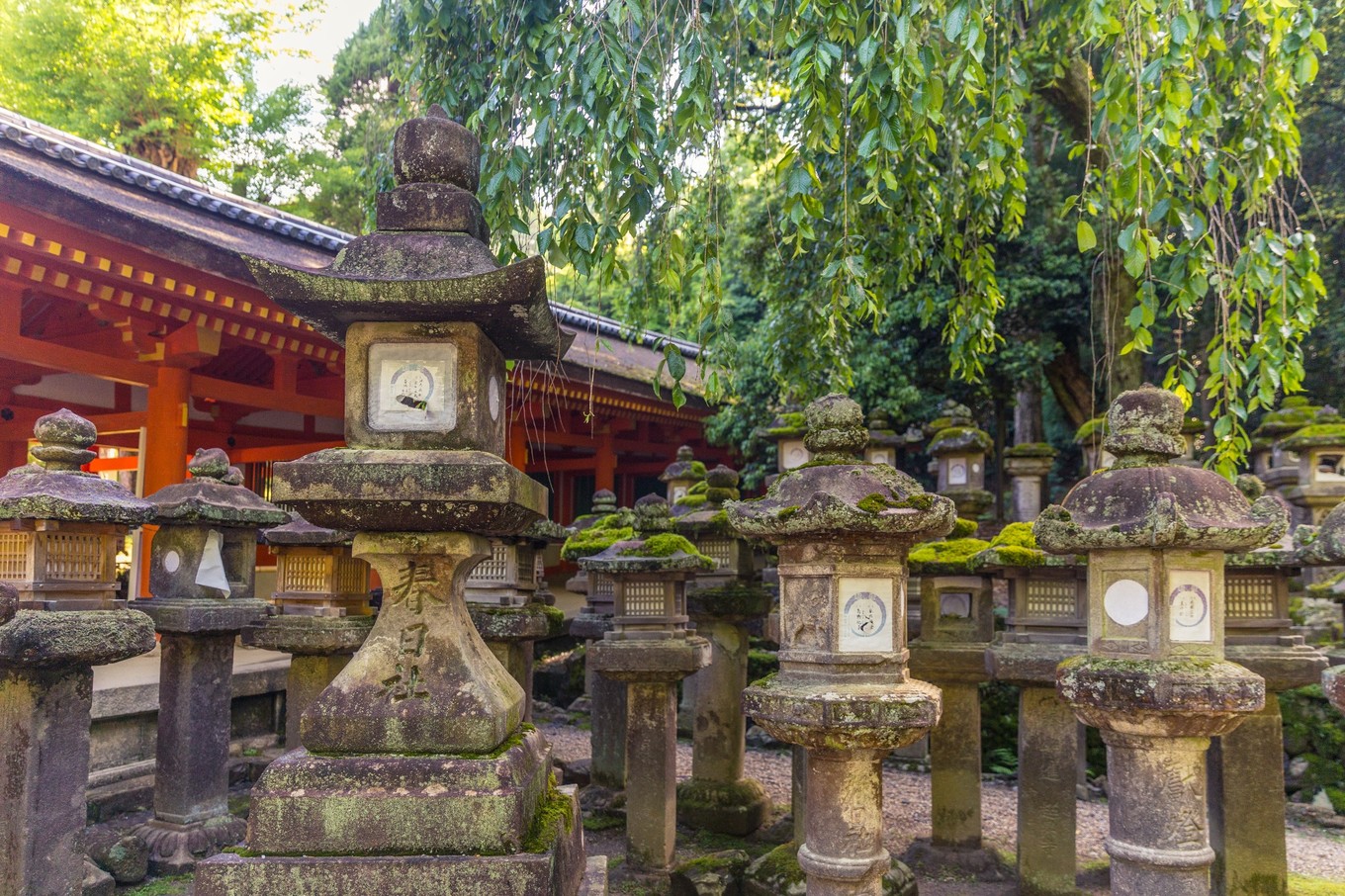 春日大社是所有春日神社的总社.