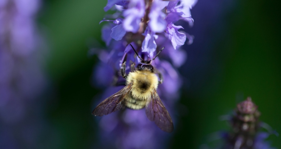 2019年上半年家电市场不只是跌:品类多极分化,消费两头分化-家电圈官网