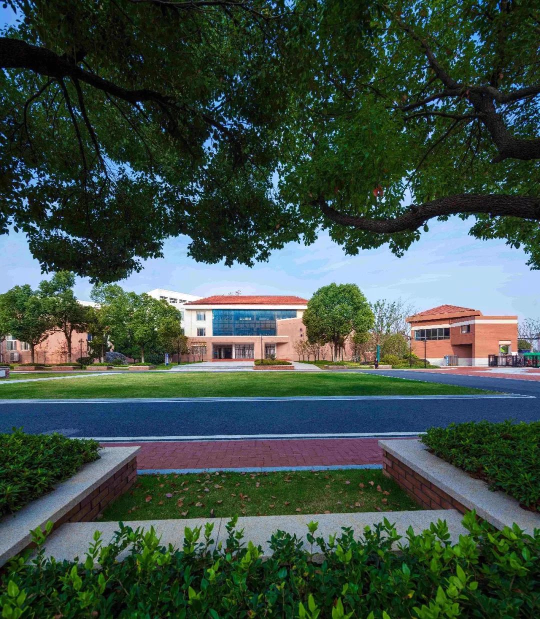 2019园冶杯专业奖丨合肥润安公学景观提升工程一期