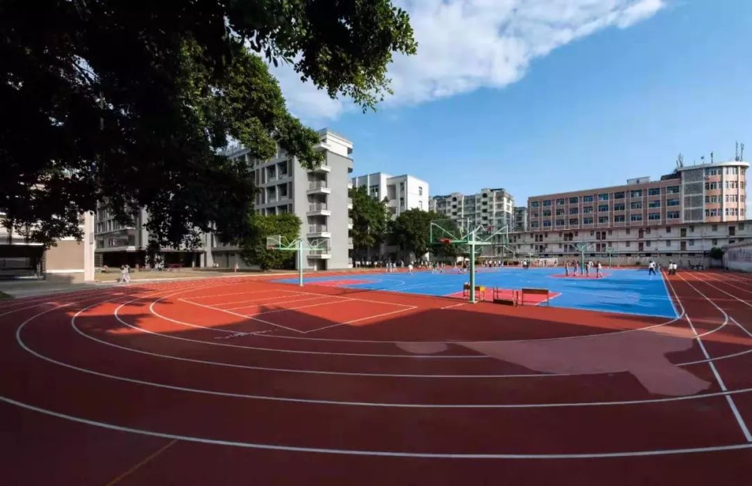 杨桥中学对口小学图片