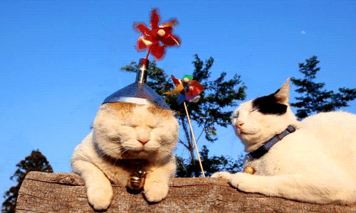 惊艳全城丨融汇半山别院首届梦幻风车节7月20日倾情启幕