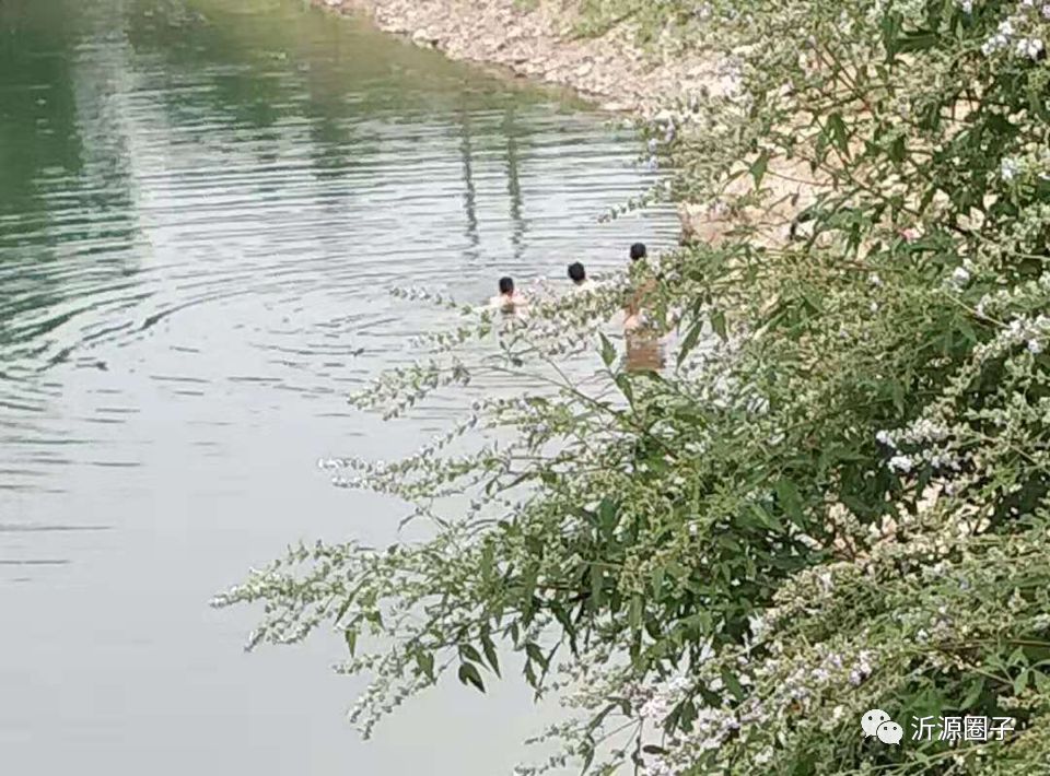 南麻发现了一群"光腚子"_游泳