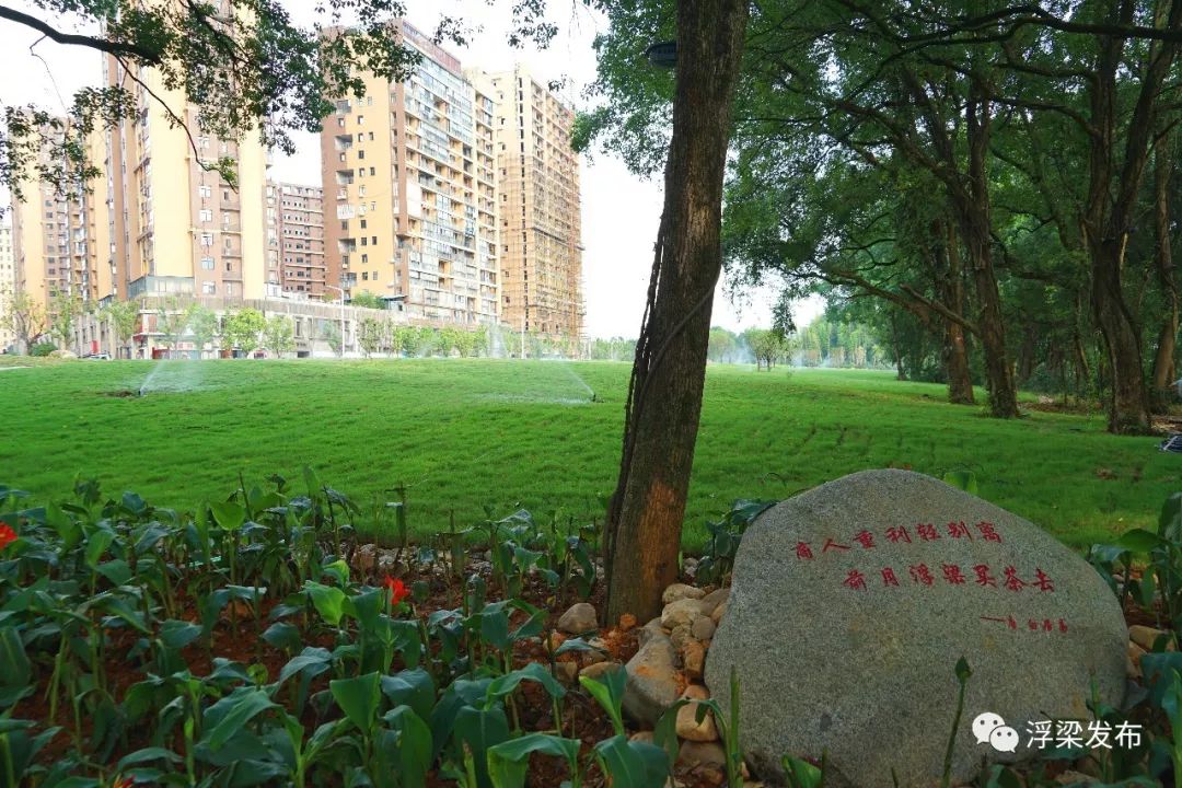 天宝公园寄情山水处诗情画意中