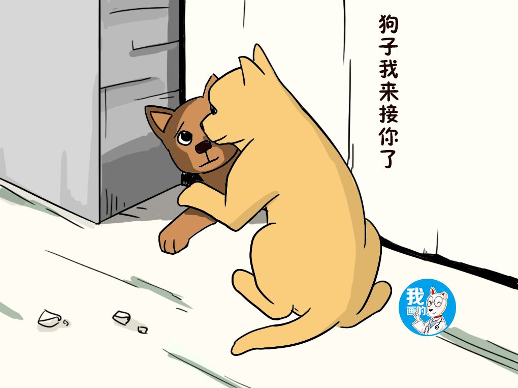原创怕大黄狗到处乱跑,于是封住了狗洞,再回来看时主人眉头紧锁