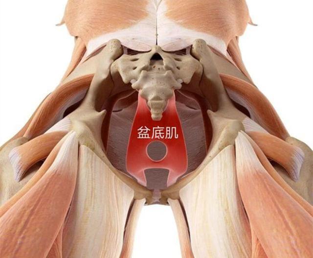 产后阴道松弛顺产会导致产后阴道松弛