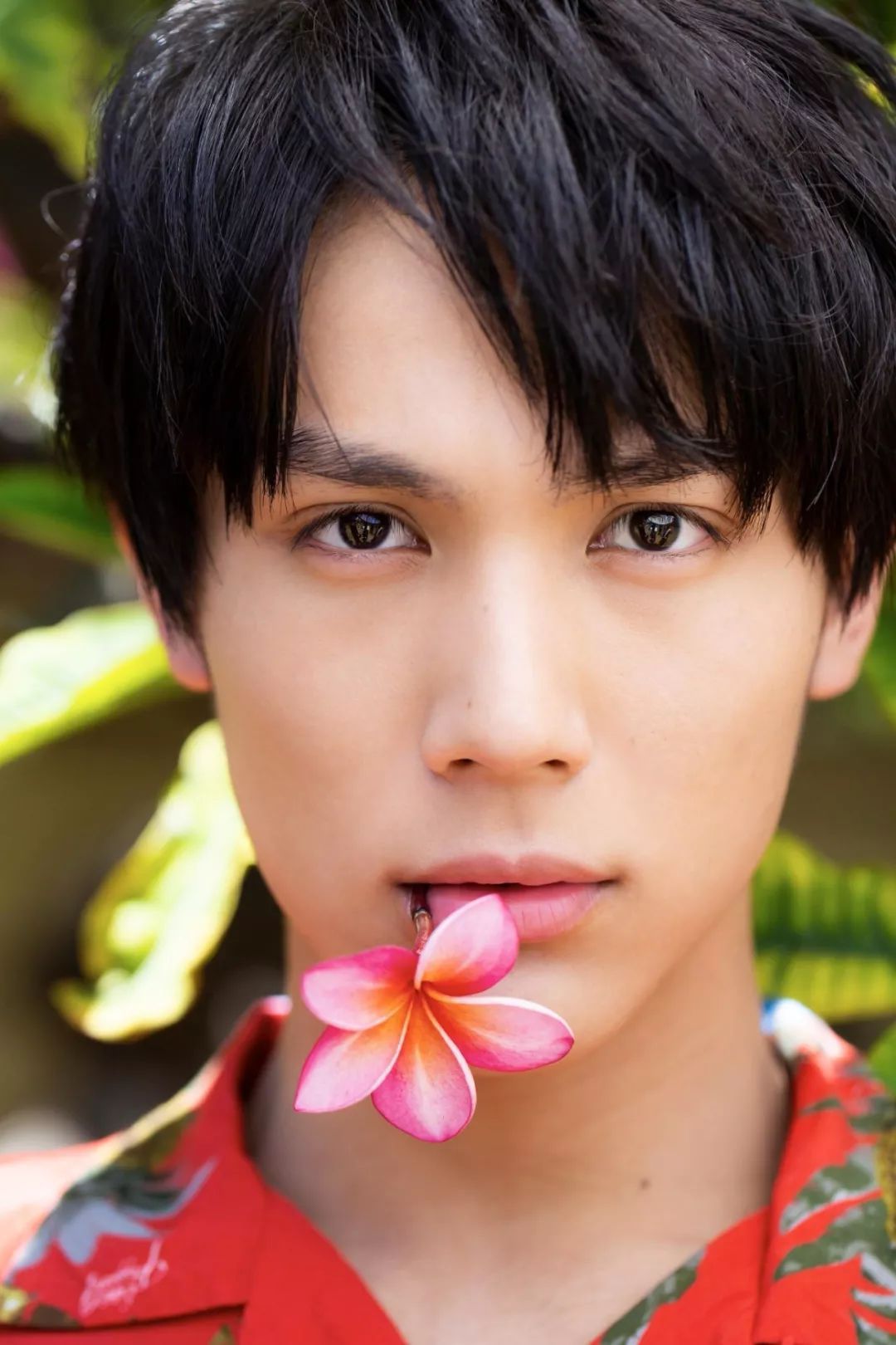 原创第一名没有悬念2019上半年日本人气最爆红的10大男演员